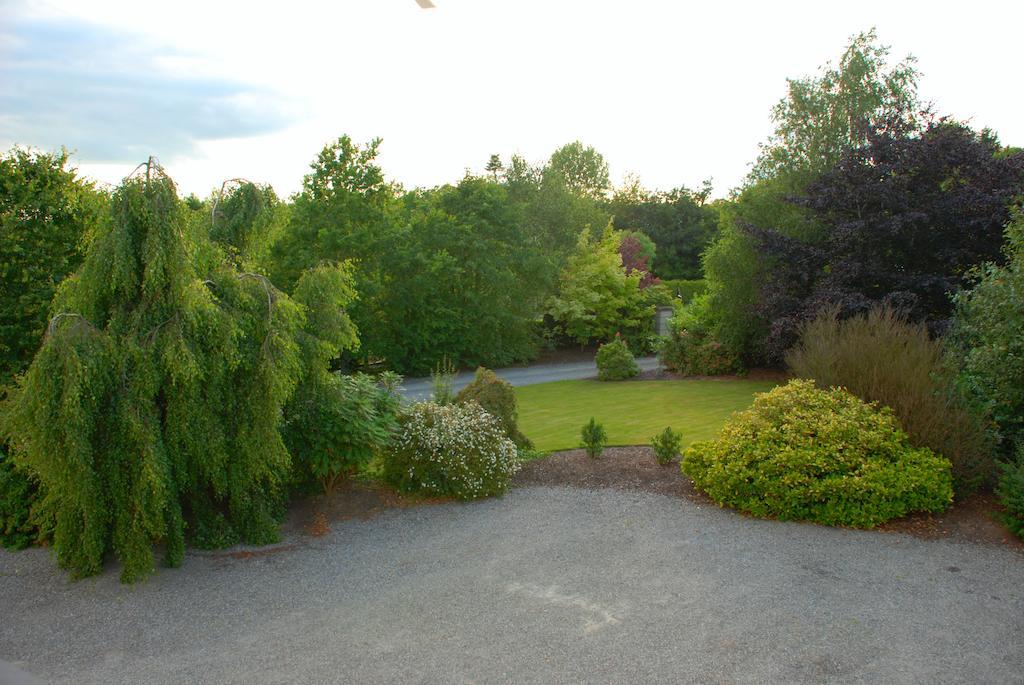 Lemongrove House Bed & Breakfast Enniscorthy Ngoại thất bức ảnh
